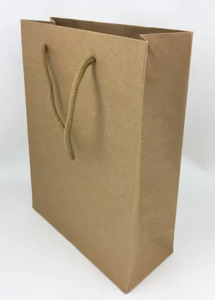 Lot de 12 Sacs Papier Kraft avec soufflet - 19 x 24,5 cm