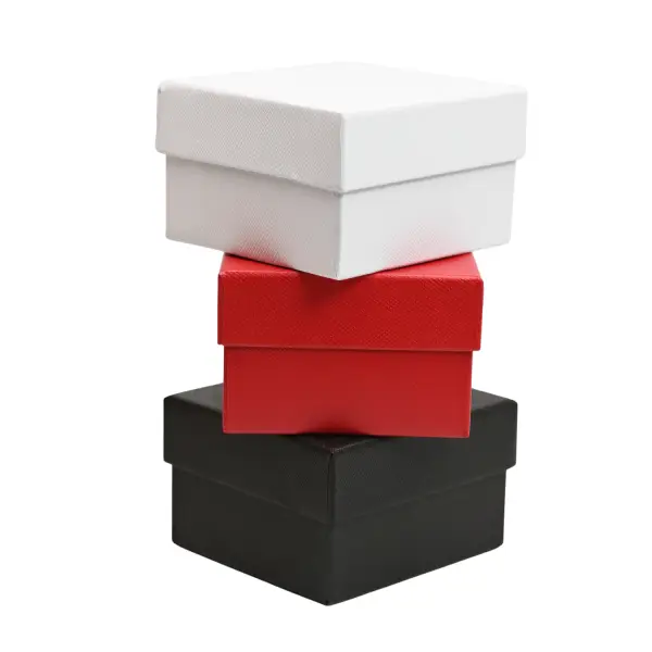Lot de 6 Boîtes Cadeau Montre Bracelet avec Coussins - 3 Coloris Au Choix