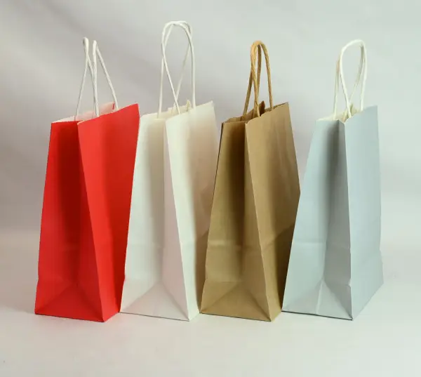 Lot de 25 Sacs en Papier Kraft de Couleur - 21 x 15 x 7 cm