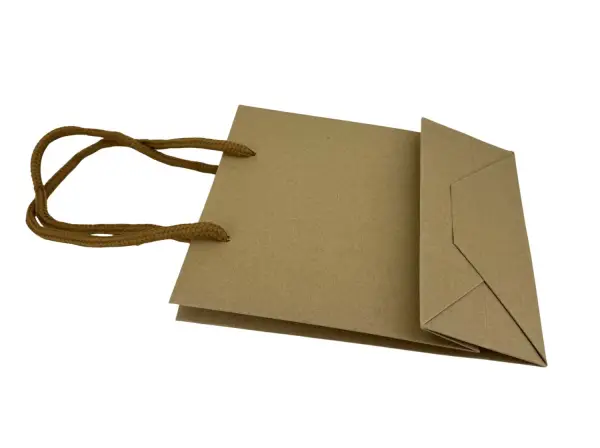 Lot de 12 Sacs Boutique en Papier Kraft avec Soufflet - 16 x 12 x 6 cm