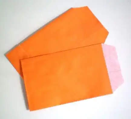 Pochettes Papier Cadeau - Mandarine 