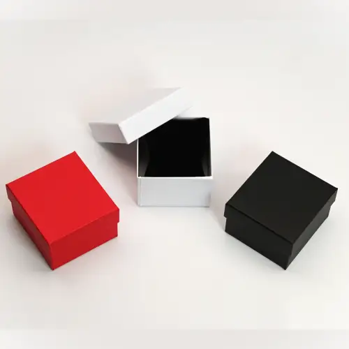 Lot de 6 Boîtes Cadeau Montre Bracelet avec Coussin à l'intérieur - 3 Coloris Au Choix 
