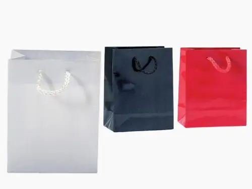 Lot de 12 Sacs Luxes en Carton Glaçé 11 x 14 cm 